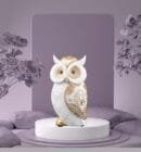 Modern Classy Lucky Owl Resin Showpiece