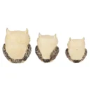 Modern Classy Lucky Owl Family (Set of 3), Resin Showpiece