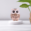 Modern Classy Lucky Owl Resin Showpiece