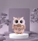 Modern Classy Lucky Owl Resin Showpiece