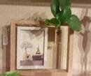 Nature’s Frame: Wooden Photo Frame with Money Plant