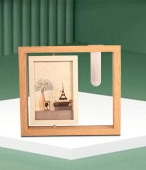 Nature’s Frame: Wooden Photo Frame with Money Plant