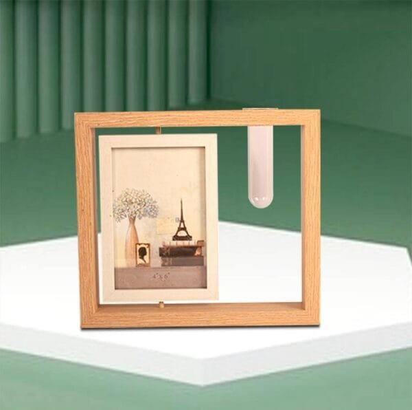 Nature’s Frame: Wooden Photo Frame with Money Plant