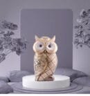 Modern Classy Lucky Owl Resin Showpiece