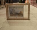 Nature’s Frame: Wooden Photo Frame with Money Plant
