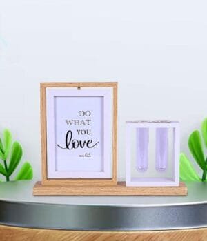 Nature's Frame: Wooden Photo Frame with Money Plant