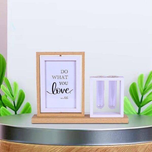 Nature's Frame: Wooden Photo Frame with Money Plant
