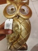 Modern Classy Lucky Owl Resin Showpiece