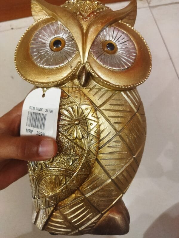 Modern Classy Lucky Owl Resin Showpiece - Image 2