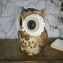 Modern Classy Lucky Owl Resin Showpiece
