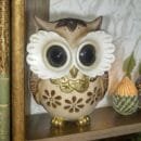 Modern Classy Lucky Owl Resin Showpiece